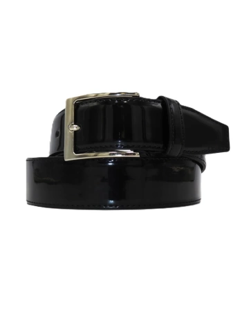 GLOSSY BELT PAINT