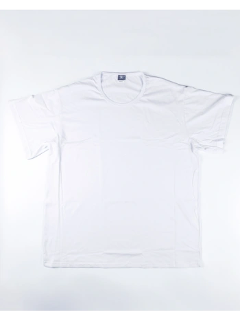 Basic crew neck t-shirt - Art. 501XF