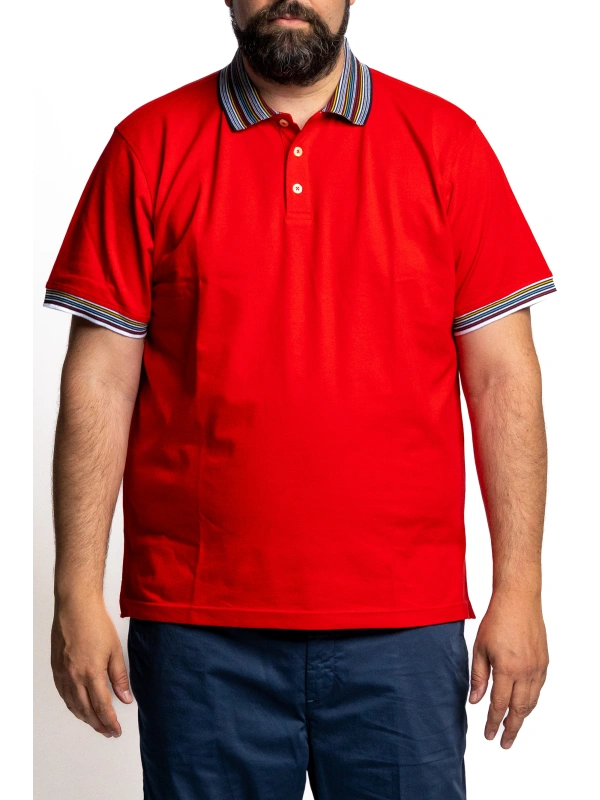 POLO UOMO TAGLIE FORTI IN COTONE CON COLLETTO RIGATO