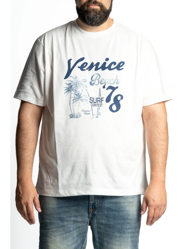 43417 T SHIRT VENIE BEACH