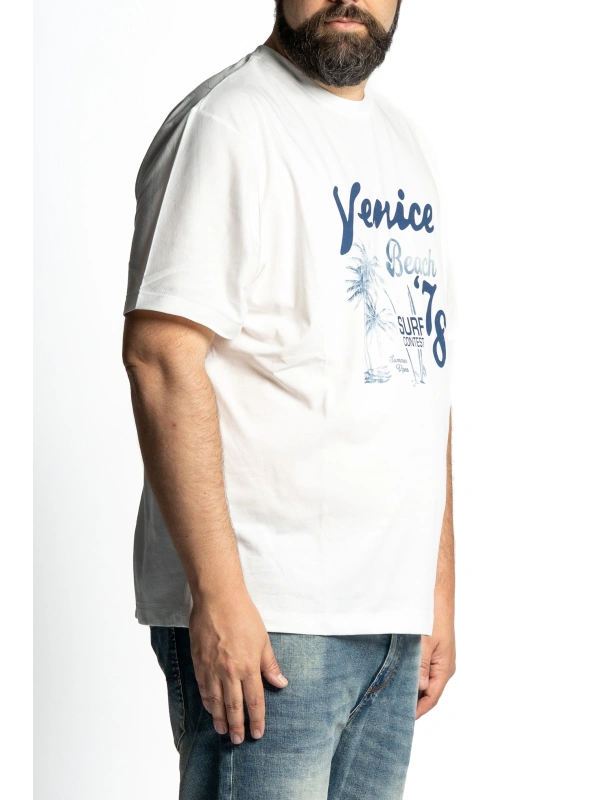 43417 T SHIRT VENIE BEACH 2