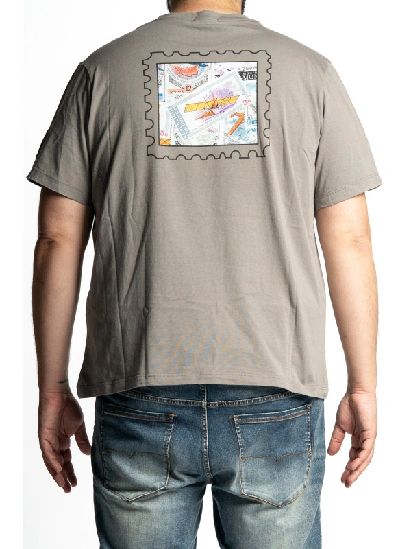 43423  T SHIRT FRANCOBOLLI