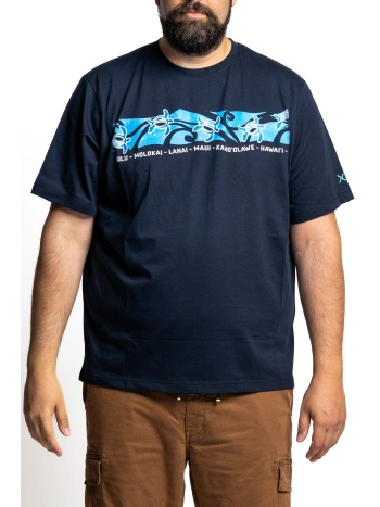 43427  T SHIRT STAMPA TARTARUGHE