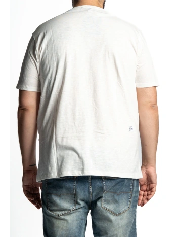 E2836  T SHIRT FIAMMATA TEQUILA