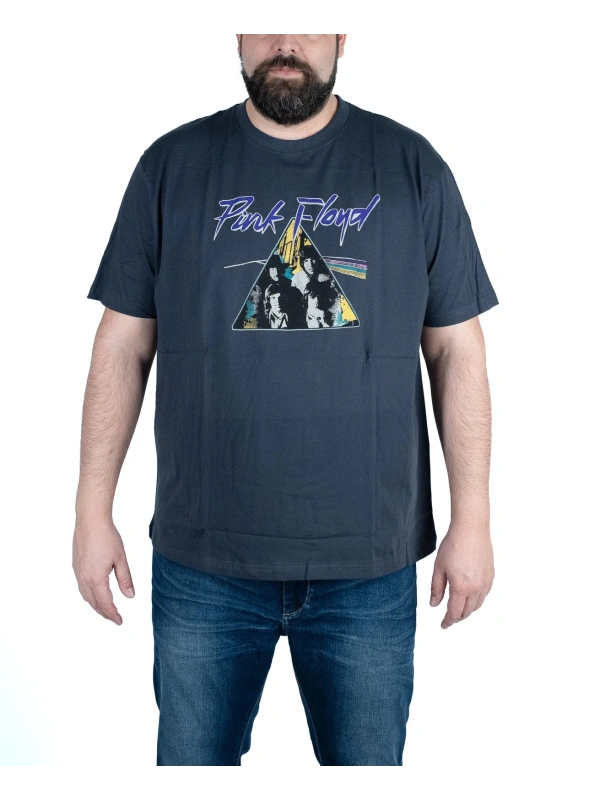 41902 T SHIRT PINK FLOYD