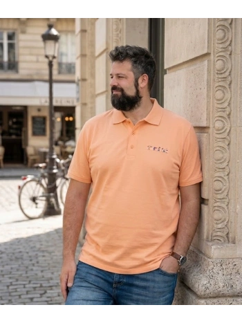 43255 POLO PIQUET STRETCH INSERTI FANTASIA