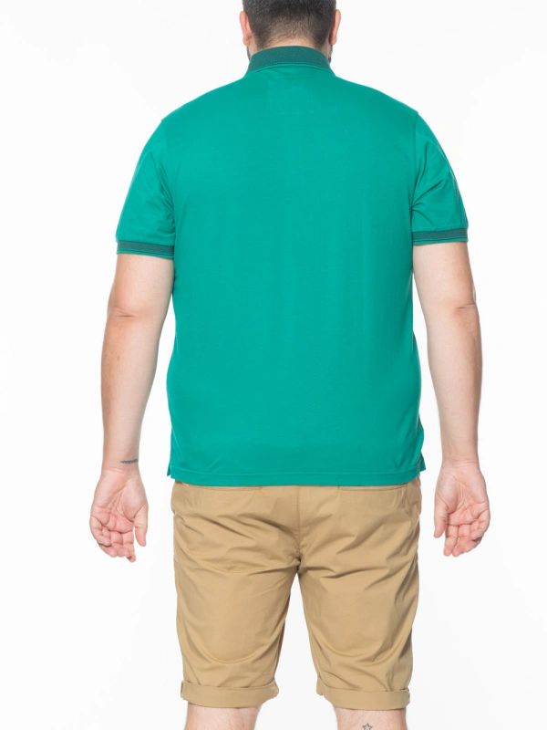 P25599  POLO PIQUET STRETCH BUTTON DOWN 2