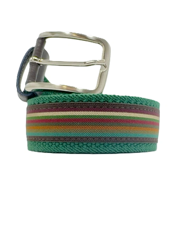 195XF MULTICOLOR BELT 2