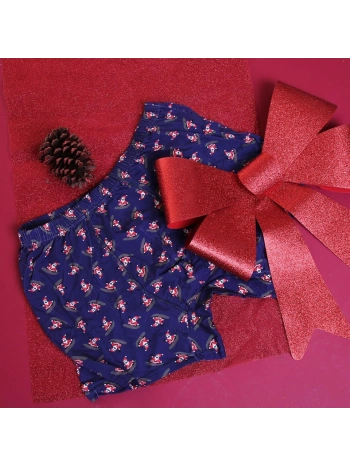 BOX CHRISTMAS BOXER250 BIPACK CHRISTMAS EDITION