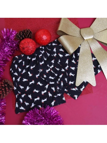 BOX CHRISTMAS BOXER250 BIPACK CHRISTMAS EDITION